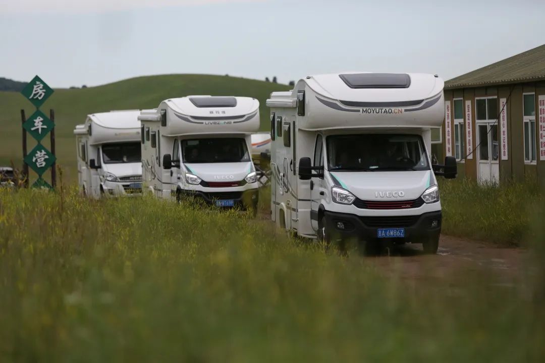 來(lái)福，以精致矗立在野性之中